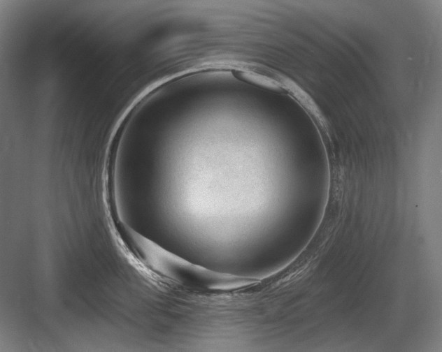 X0000083650955200702121146
