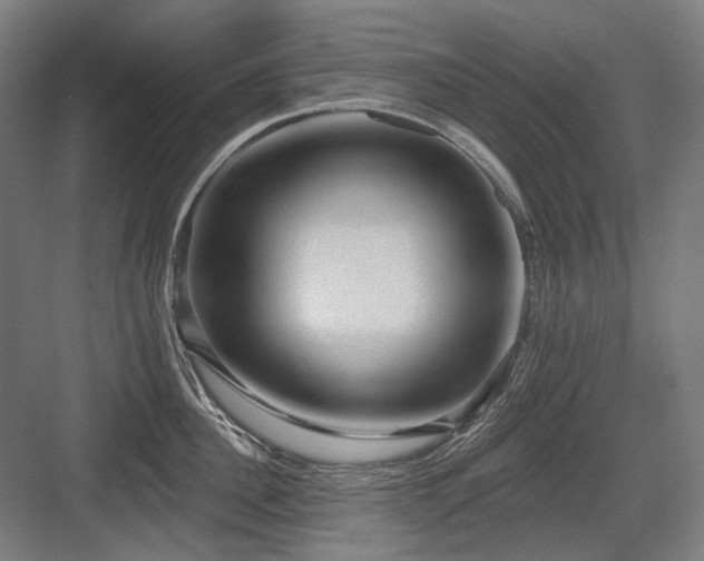 X0000083650956200702121146