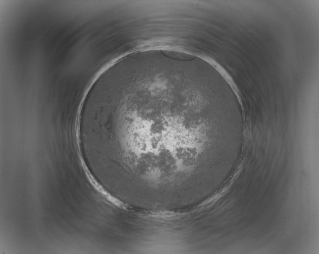 X0000083650957200702121146