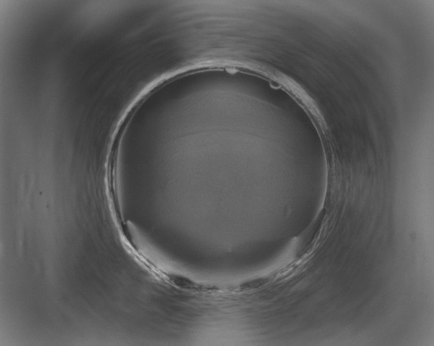 X0000083650958200702121146