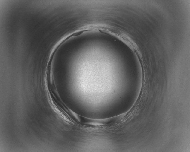 X0000083650960200702121147