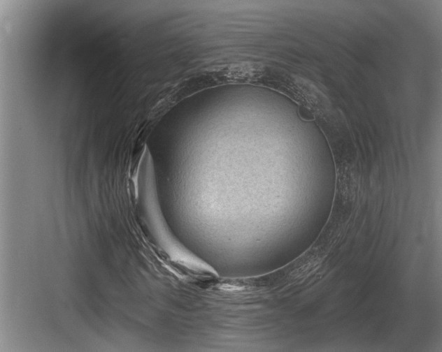 X0000083650962200702121146