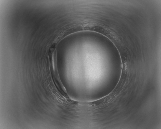 X0000083650963200702121146