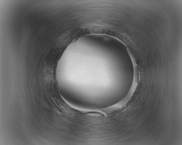 X0000083650964200702121146