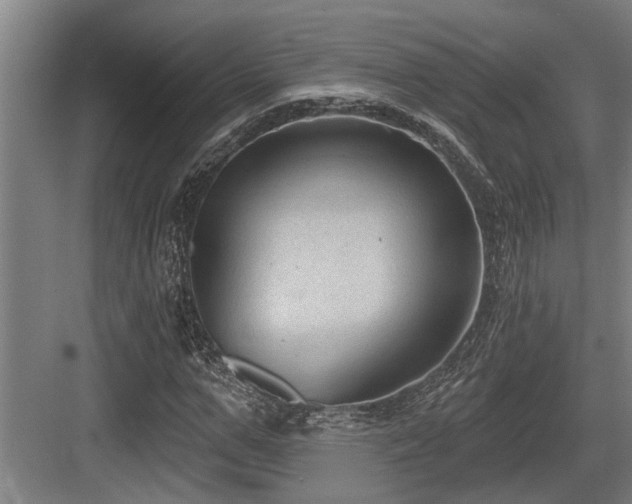 X0000083650967200702121146