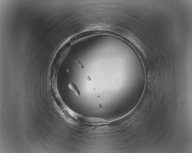 X0000083650972200702121146