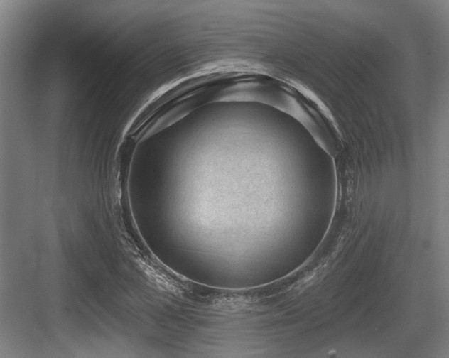 X0000083650973200702121146