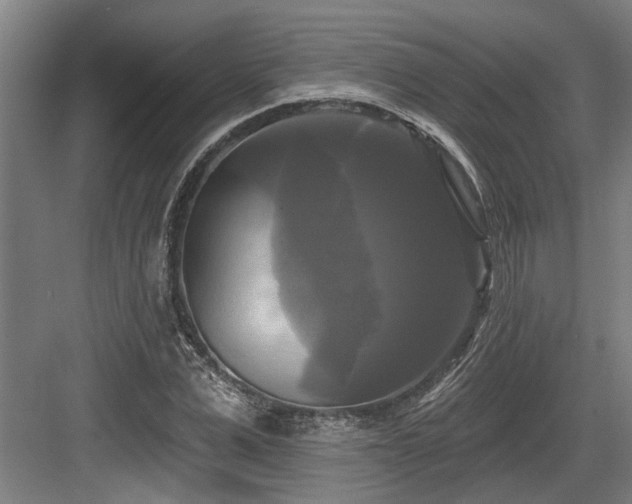 X0000083650975200702121145