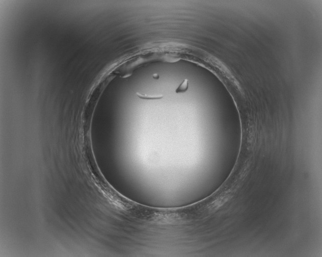 X0000083650978200702121145