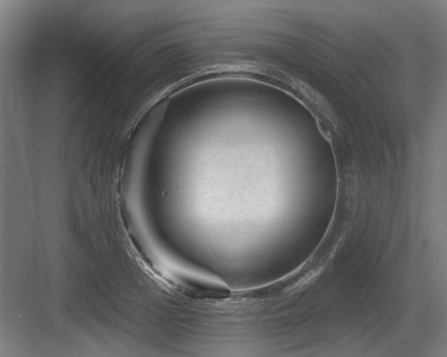 X0000083650985200702121145