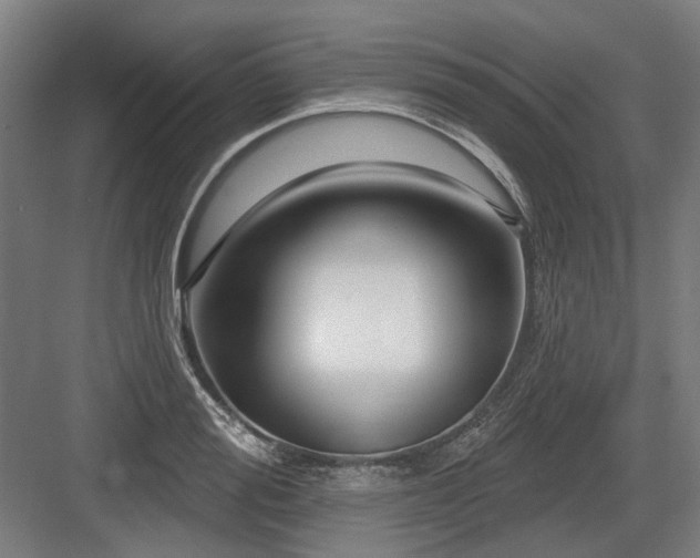 X0000083650988200702121145