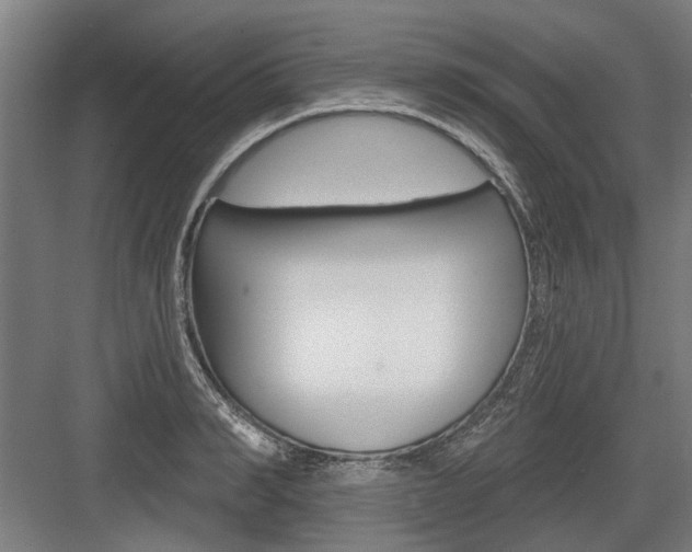 X0000083650990200702121145