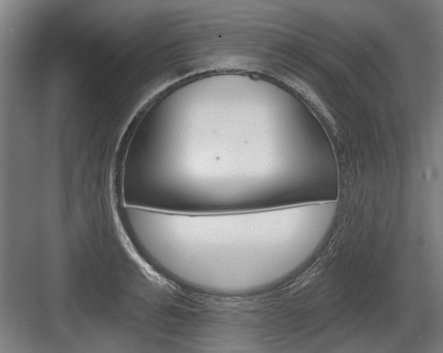 X0000083650991200702121145