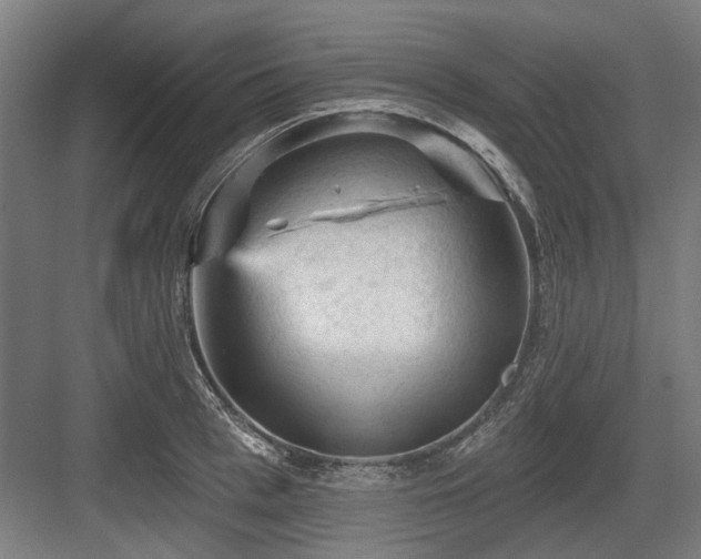 X0000083650993200702121145