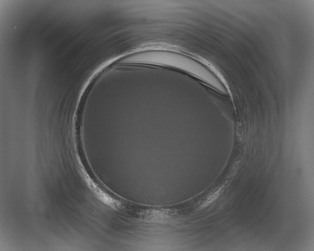 X0000083650995200702121145
