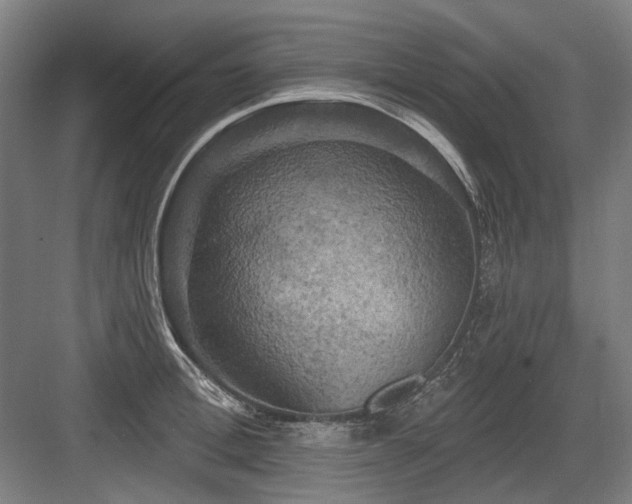 X0000083650996200702121145