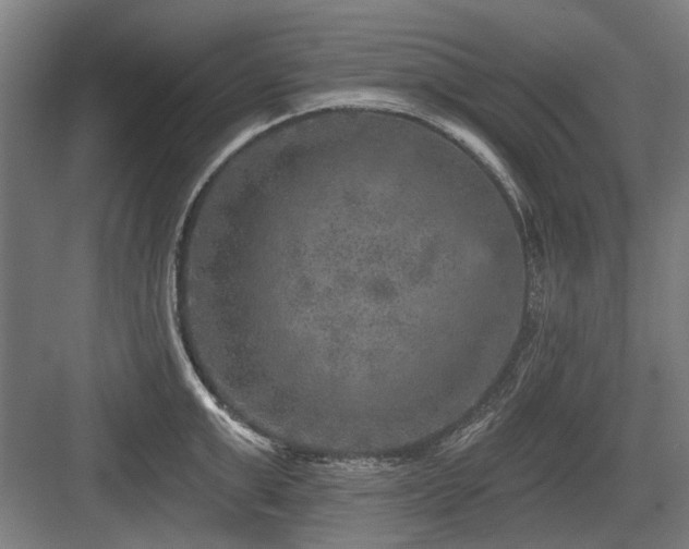 X0000083650999200702121145
