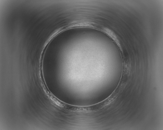 X0000083651002200702121145