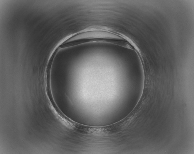 X0000083651003200702121145
