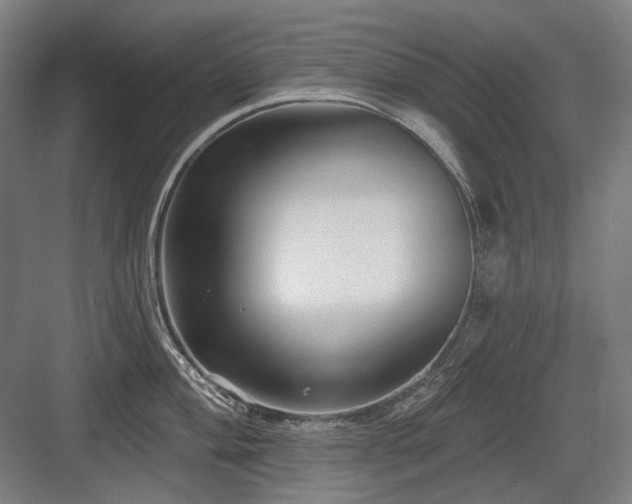 X0000083651004200702121145