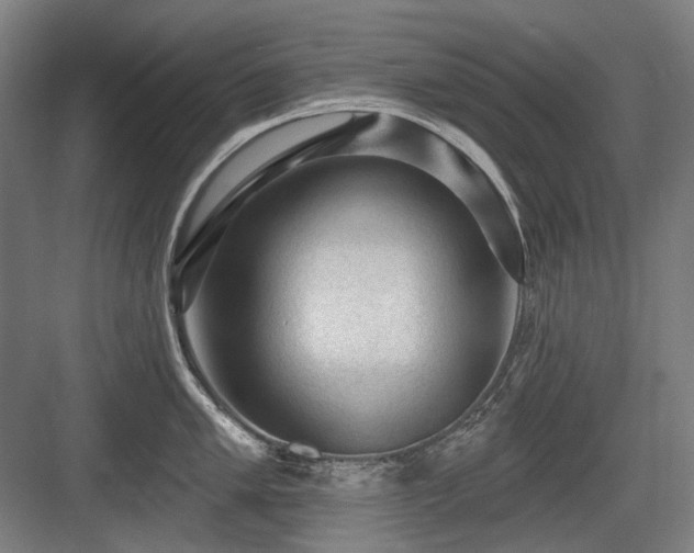 X0000083651005200702121145
