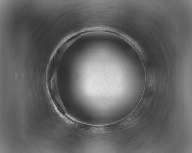 X0000083651006200702121145