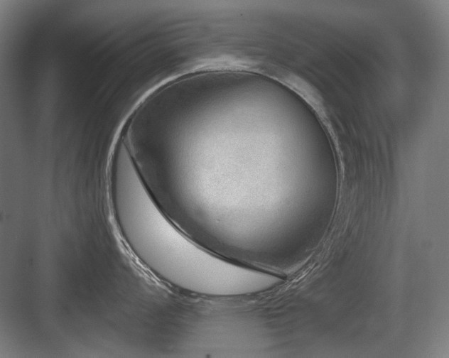 X0000083651008200702121145