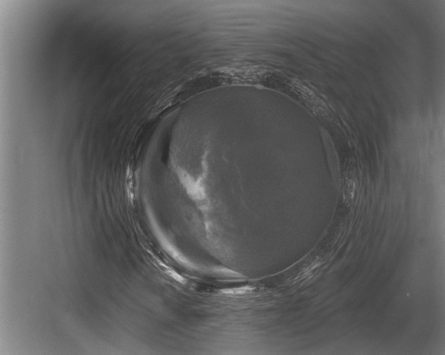 X0000083651010200702121144