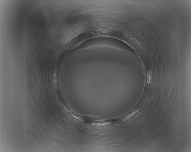 X0000083651011200702121144