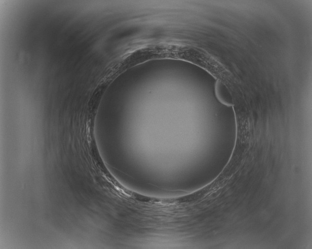 X0000083651013200702121144