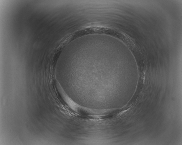X0000083651014200702121144