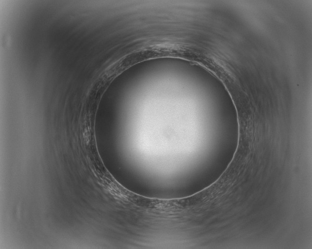 X0000083651015200702121144