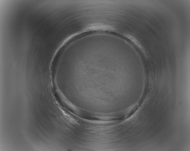 X0000083651022200702121144
