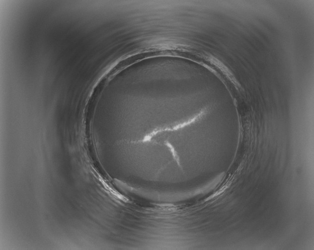 X0000083651023200702121144