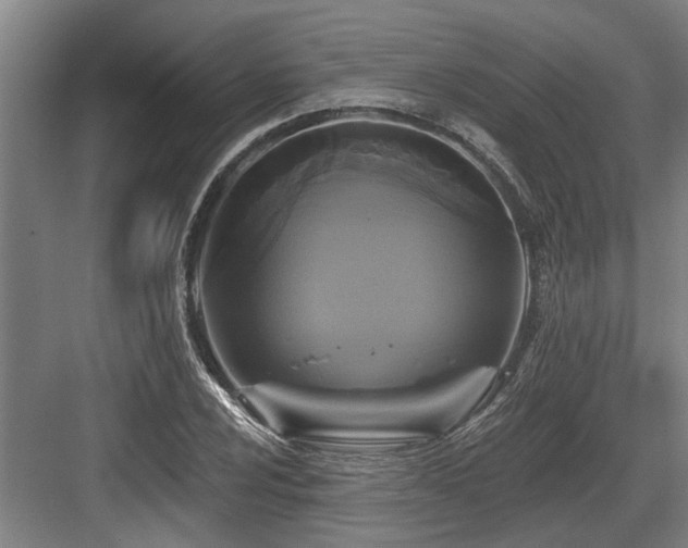 X0000083651024200702121144