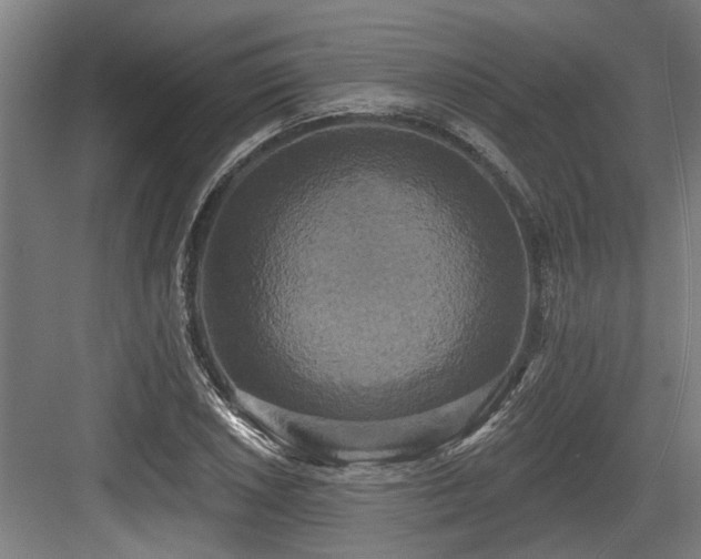 X0000083651026200702121144