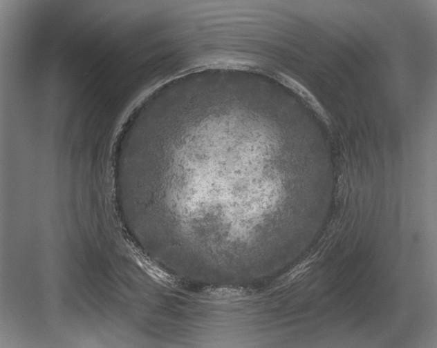 X0000083651027200702121144