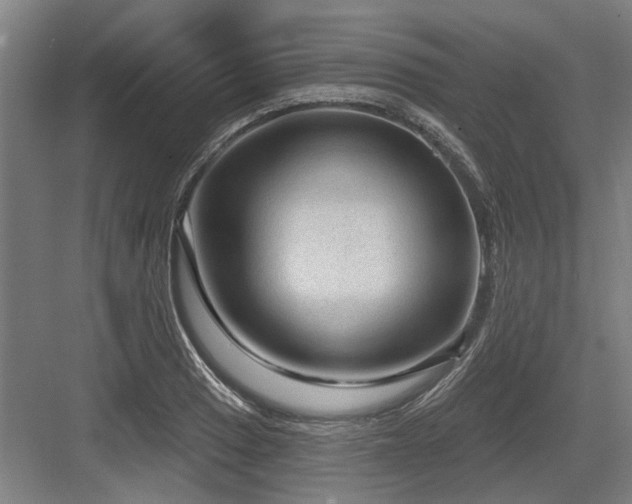 X0000083651033200702121145