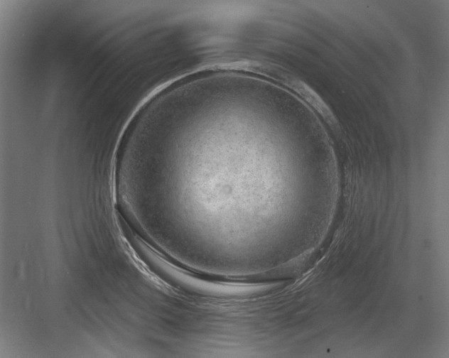 X0000083651036200702121145