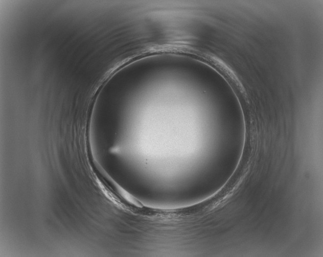 X0000083651041200702121145