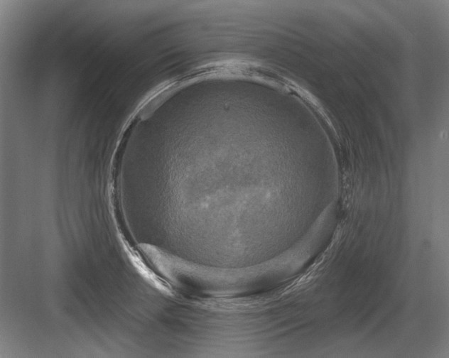 X0000083651042200702121145
