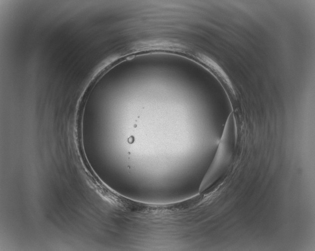X0000083651043200702121145