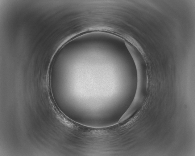 X0000083651044200702121145