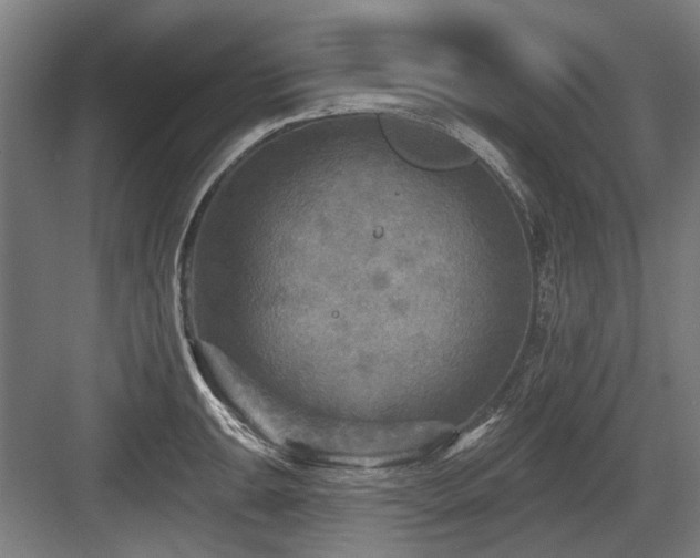 X0000083651047200702121145