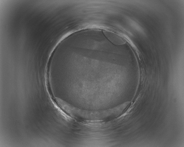 X0000083651048200702121145