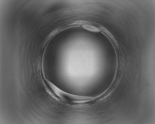 X0000083651049200702121145