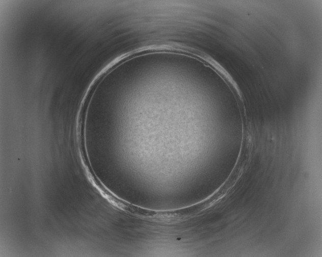 X0000083651053200702121145