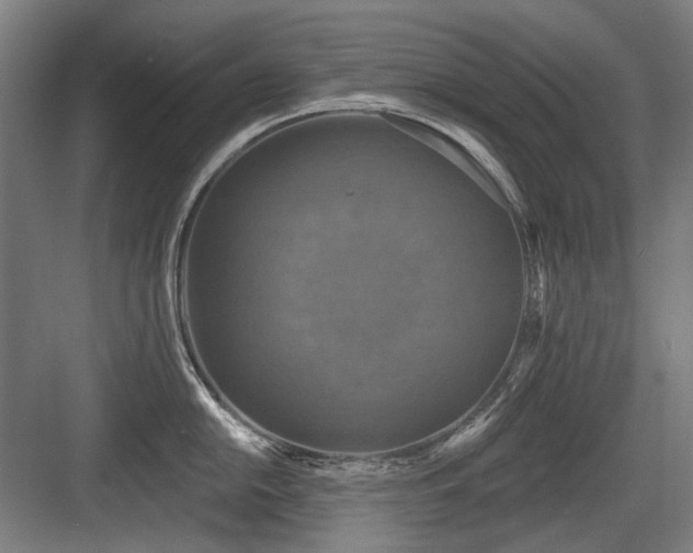 X0000083651054200702121145