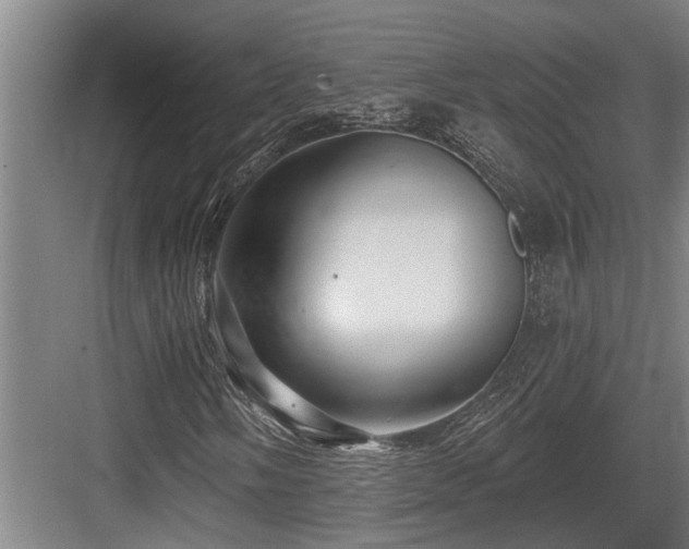 X0000083651058200702121144