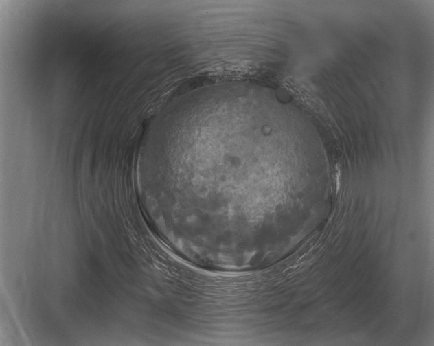 X0000083651059200702121144